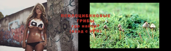 СК Алзамай