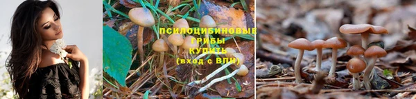 мескалин Алексеевка