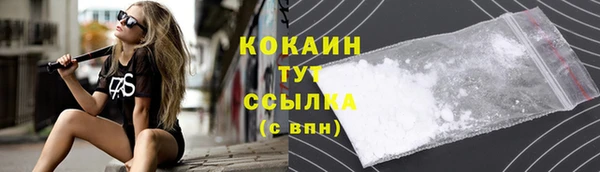 винт Аркадак
